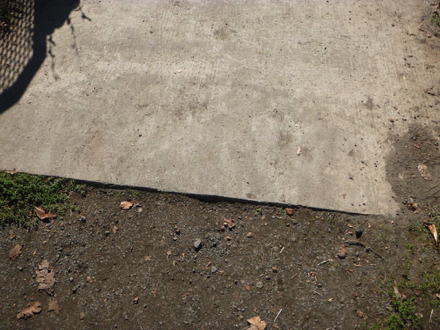Transition from compacted gravel trail to concrete at the Wetland Observation Deck may have a lip Transition from compacted gravel trail to concrete at the Wetland Observation Deck may have a lip